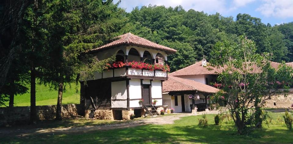 Odmaraliste Vlasko Zdrelo Пирот Экстерьер фото